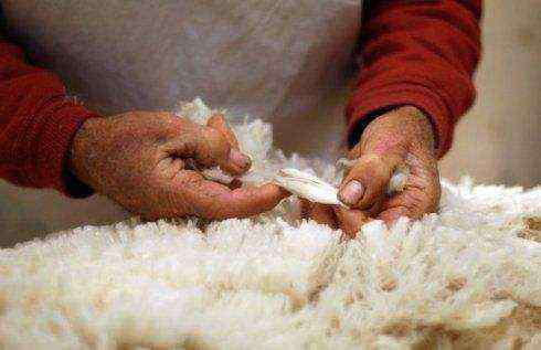 薅羊毛 薅羊毛小项目，月薅十万，做吗？