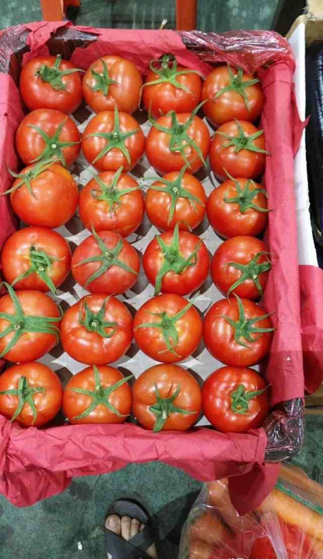 海吉星批发市场 湖南长沙海吉星蔬菜批发市场7月3号部分蔬菜批发价格（请关注）