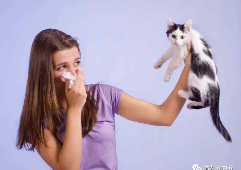 猫口臭的原因 猫咪口臭的原因可能有哪些，下文告诉你
