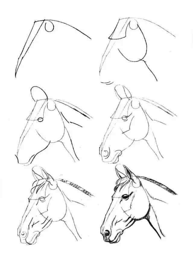 马的画法 简笔画教程，马的画法