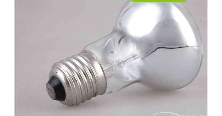 普通灯泡 浴霸上的照明灯泡—怎么换？可以换成普通灯泡吗？