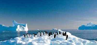 南极冰川融化的危害 青年说 | 南极冰川融化后果