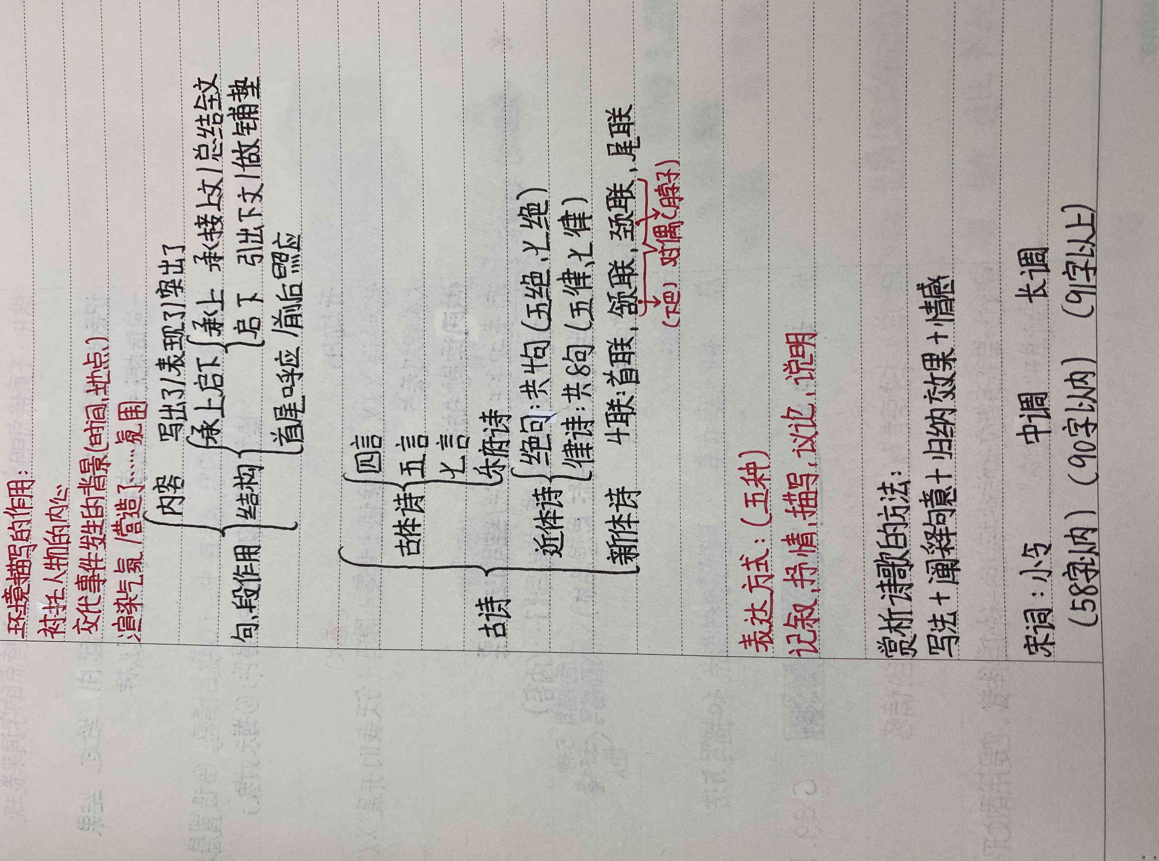 王子惠 399班优秀语文笔记展示