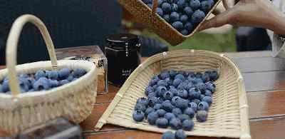 蓝莓节 蓝莓节盛大开幕！——美味“蓝”不住，吃出高颜值！