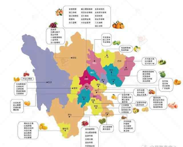 中国四川地图 首发，四川水果地图