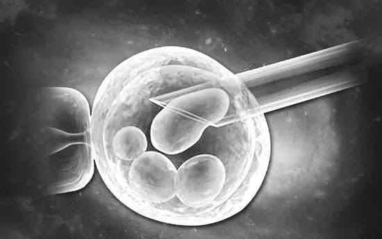 移植 胚胎移植后的注意事项你真的了解吗？
