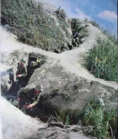 对越自卫反击战纪实 对越自卫反击战纪实：战友们的尸体横七竖八的躺在公路上及水沟里