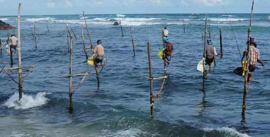 高跷钓鱼 世界上最牛钓鱼方式：斯里兰卡高跷立钓
