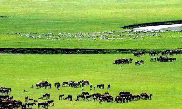 茫茫的草原像什么 秋季的内蒙古什么是“一马平川”，“天苍苍，野茫茫，风吹草低见牛羊”