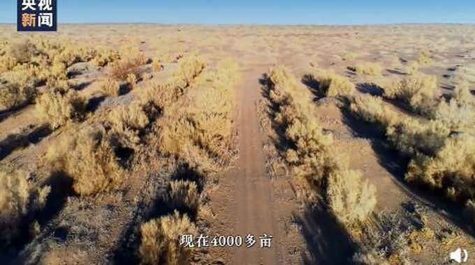 “保护家乡” 夫妻18年在沙漠种下4000多亩梭梭 网友送上祝福