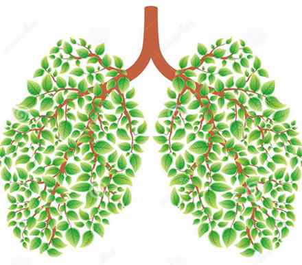 大多人的肺里都有结节 重庆一男子体检发现双肺多发结节 5个结节均为肺癌