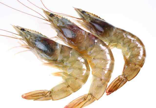 海虾的营养价值 海虾和河虾的区别是什么？记住4点，分清海虾和河虾，别再买错了