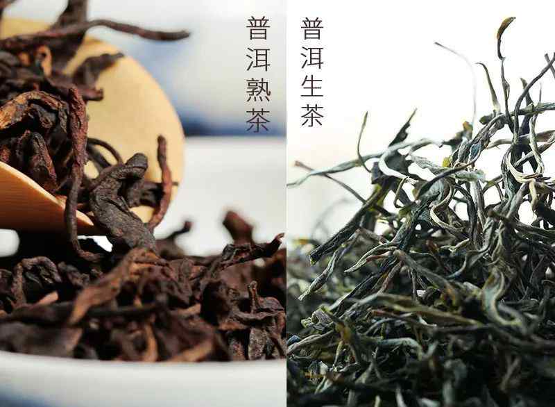 如何区分普洱生茶熟茶 如何鉴别普洱茶生茶和熟茶？