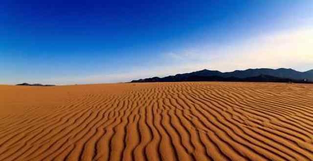绿化沙漠 治绿化护沙漠：中国治沙最“成功”的沙漠，面积仅剩200亩！