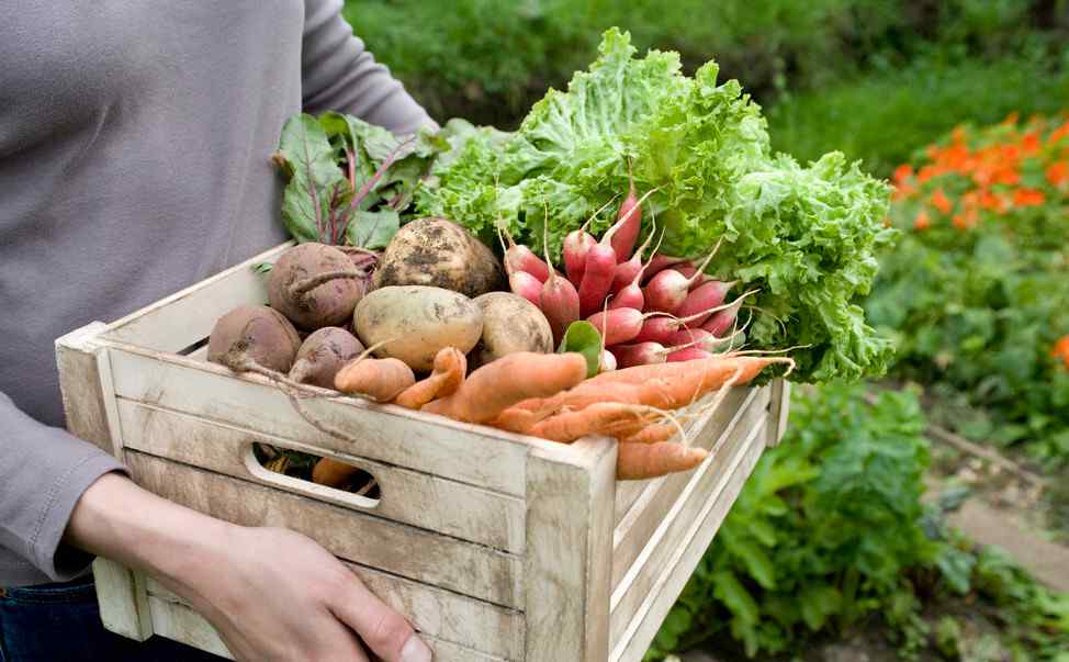 蔬菜果园 农业也能私人定制——如何让消费者“认养”你的蔬菜果园？