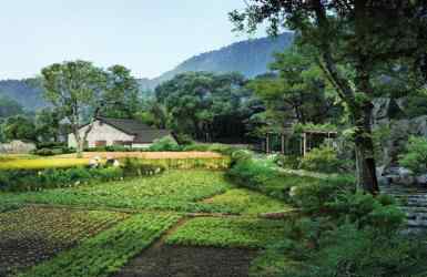 九龙生态农业园 “共享田园”来了 九龙坡将打造2000亩生态观光农业互联网小镇