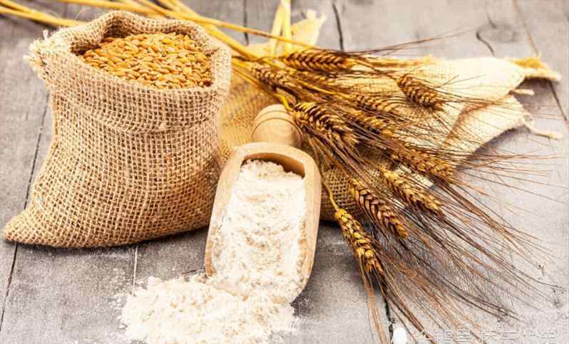 今天小麦多少钱一斤 今天一斤小麦多少钱？十月下旬小麦价格行情及走势分析