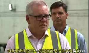 澳大利亚傻了 澳大利亚欢呼：这就是中国抵制我们的“代价”！