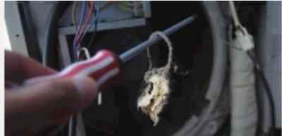 怎么抓老鼠最有效室内 长沙多户空调清出死老鼠 空调积尘霉菌超标