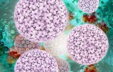 hpv病毒会传染家人吗 感染HPV会传染吗？