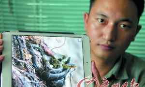 中国发现最大的蛇 湘籍小伙首次在中国境内发现坎氏曙蛇震惊学界