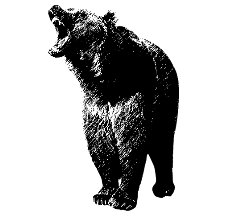 棕熊，制图 谢景豹